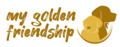 my golden friendship - Golden Retriever Zucht